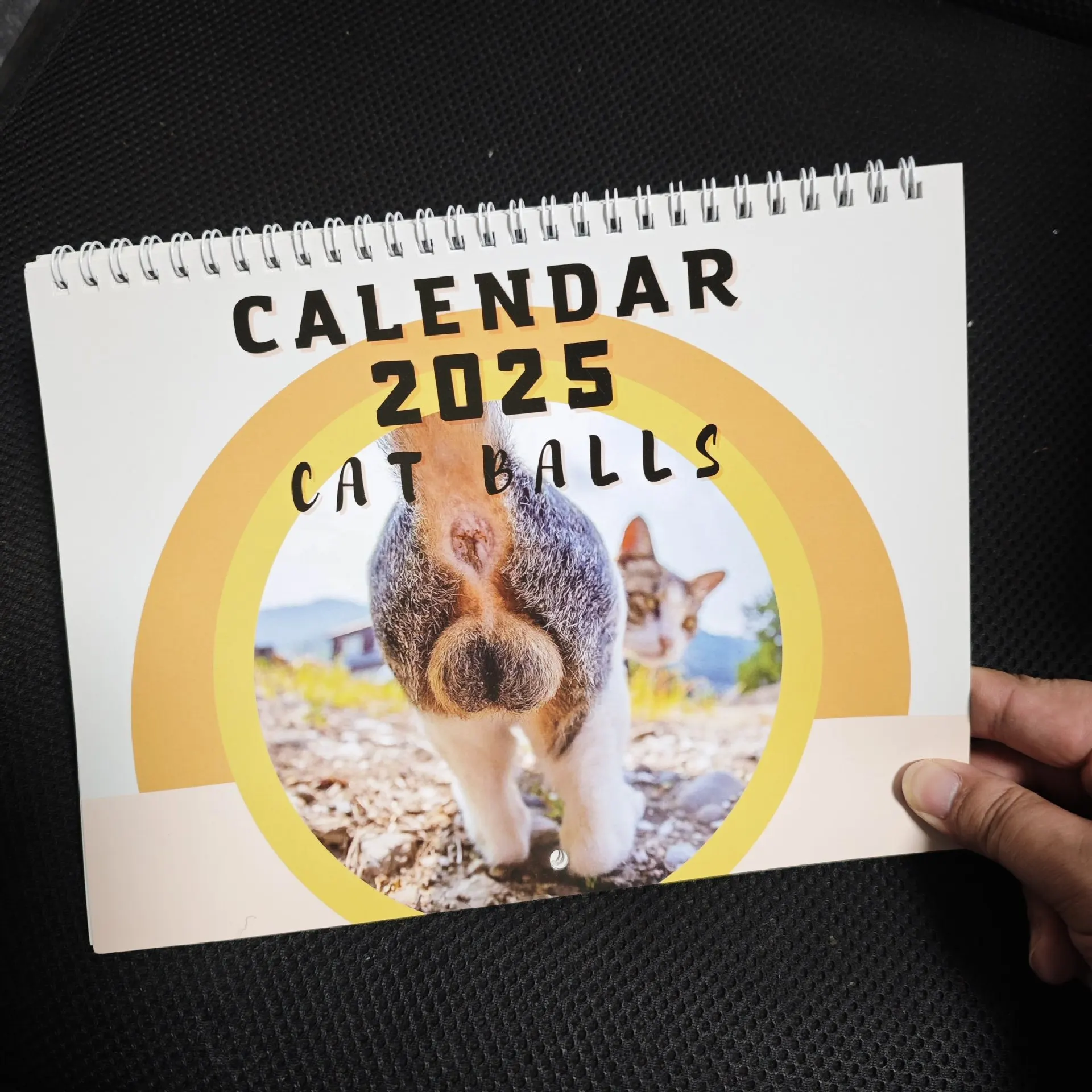 Cat Butt Wall Calendar 2025 Funny Calendar Planner Wall Calendar Cat Butthole Annual Yearly Planner 12 Month Calendar Wall