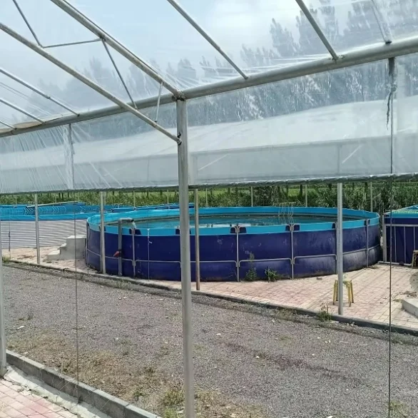 AIROW Hot Selling Moveable Fish Tank PVC Fish Pond Plastic Fish Farming Tank for Artificial Aquaculture