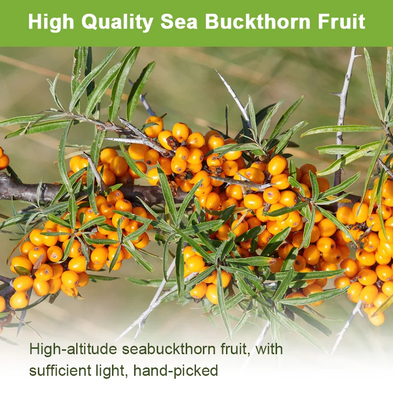 Sea Buckthorn Oil Blend Capsules, Complete Omega-7, Skin, Digestive Health Daily Supplements