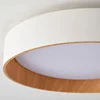 Luz de techo circular LED nórdica, sala de estar, comedor, balcón, dormitorio dual, decoración del hogar, accesorios de iluminación interior 6