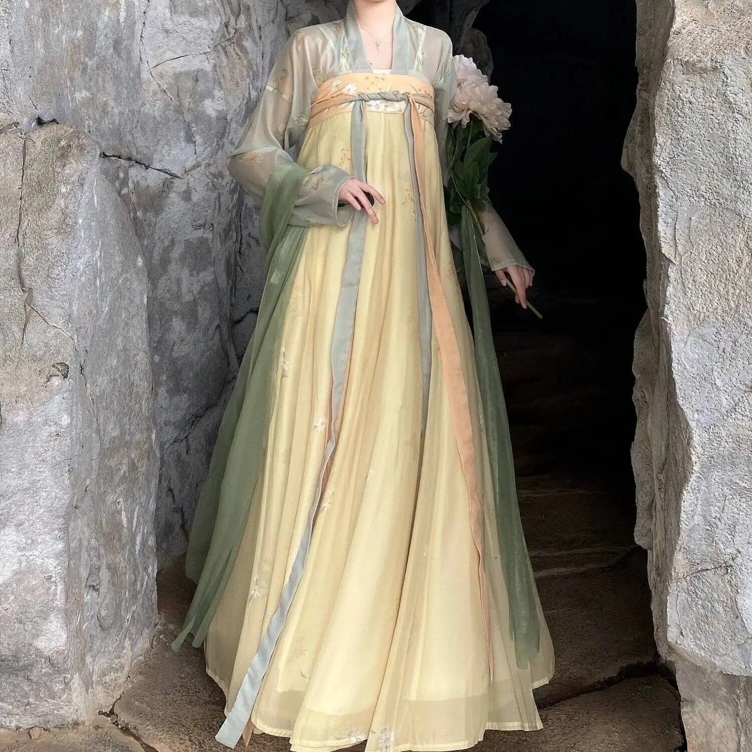 الأصلي Hanfu المرأة الصينية سلالة تانغ ازياء القديمة Hanfu التقليدية رقيقة فستان مُزين بطباعة الجنية لفصل الربيع والصيف