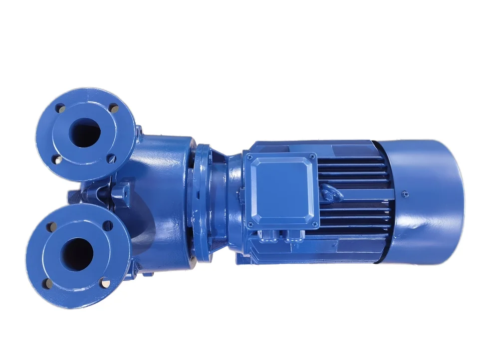 Electric Single-Stage Liquid Ring Vacuum Pumps Nearly Isothermal Compression
