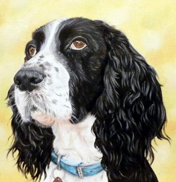 GATYZTORY Hund 40x50cm malen Nach Zahlen DIY Bild Farbe Öl Handgemalte für Erwachsene Handwerk Handarbeit Kunst