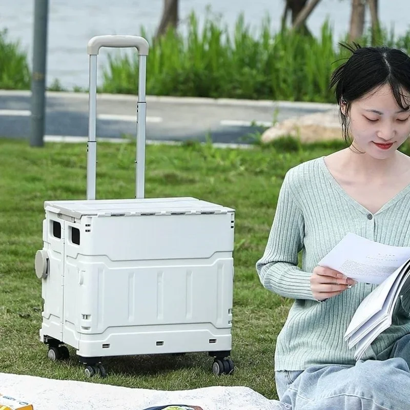 portable-camping-roller-skateboard-storage-box-children's-ice-skating-bag-carriage-foldable-stainless-steel-shopping-cart