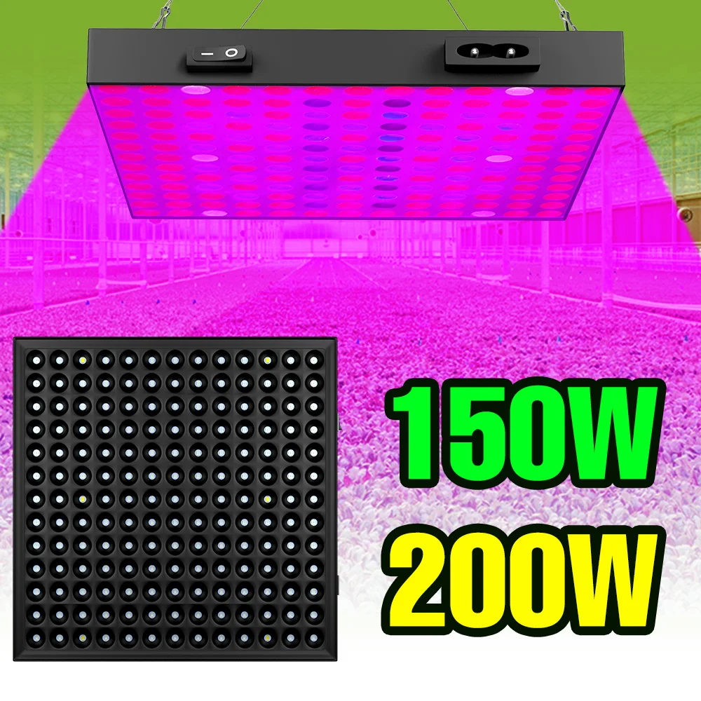 

Светодиодная лампа для растений 200 Вт, полный спектр, для выращивания в помещении, с УФ/ИК-излучением, квантовая панель, для теплиц, овощей и фруктов
