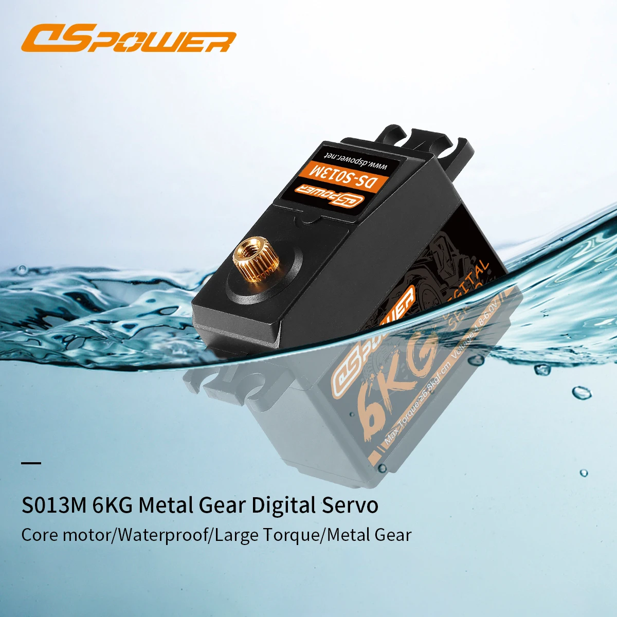 DSpower 6KG Metal Gear Digital Servos Waterproof for 1/10 RC Car Helicopter Boat Plane Wltoys HSP Trx Scx10 mn99s mn86 12428