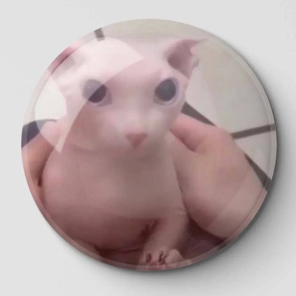 Bingus My Beloved L… - image