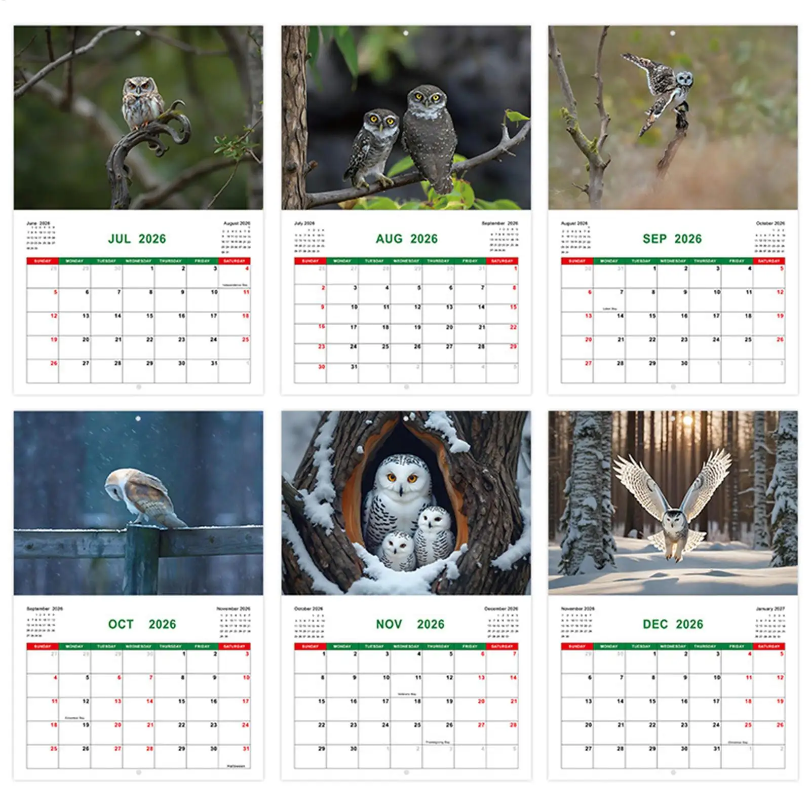 올빼미 달력 월간 달력 플래너 2026 개인 시간 관리 플래너 사무용품 할 일 목록 목표 정리