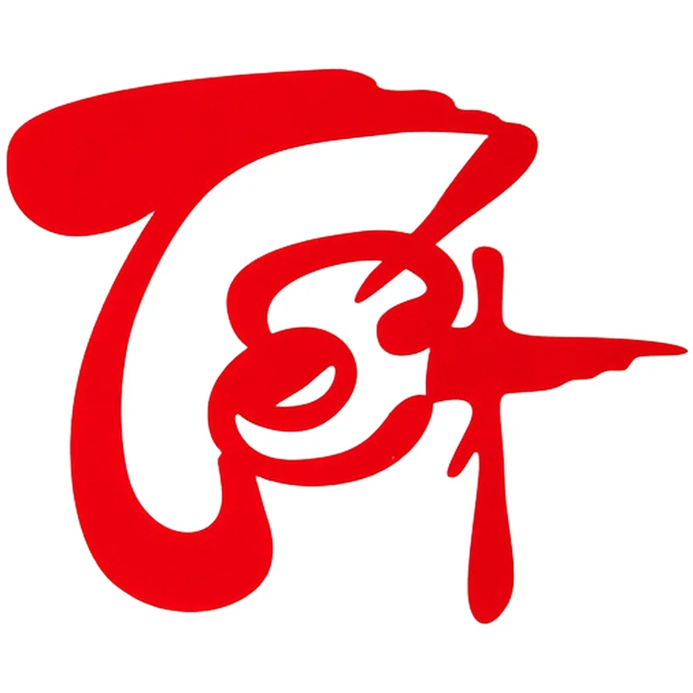 New Year Door Wall Decoration Featuring Vietnamese Characters In Flocked Fabric For Chinese Style Festive Environment