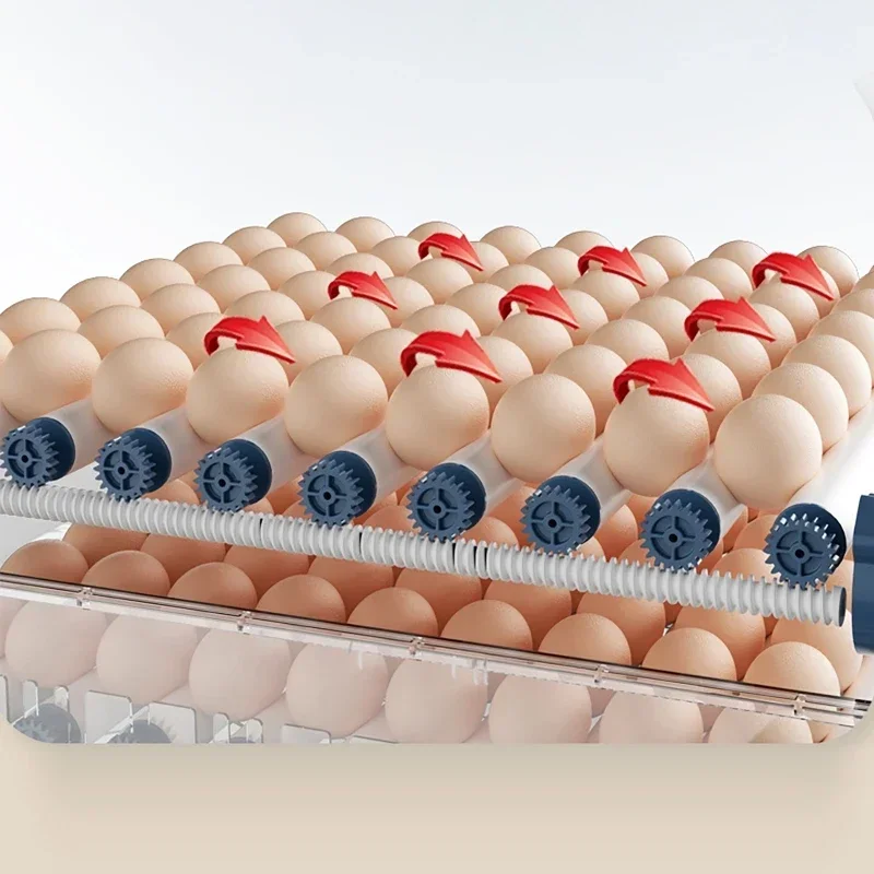 

15-дюймовый инкубатор для яиц с выдвижным ящиком, мини-инкубатор для яиц с автоматической водяной ионной пополнительной водой и контролем температуры