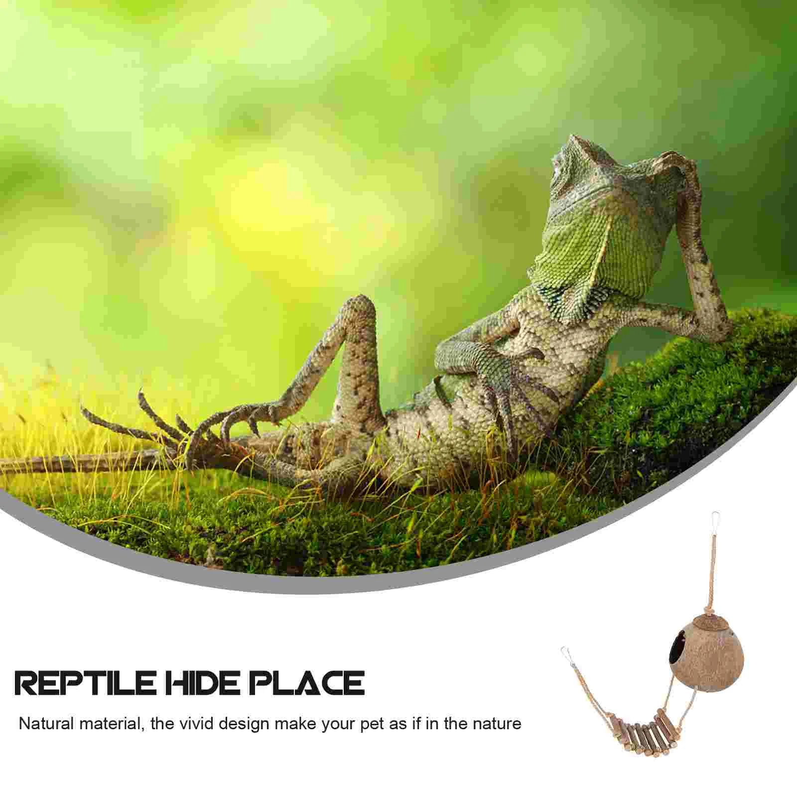 Turtles Lizard Hideout House Leopard Gecko Reptile 5200X1400X1200CM Playing Platform