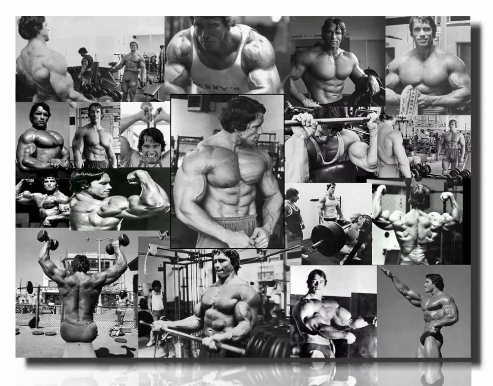 Arnold Schwarzenegger Conquer bodybuilding Workouts Art Film Print Canvas Poster Home Wall Decor