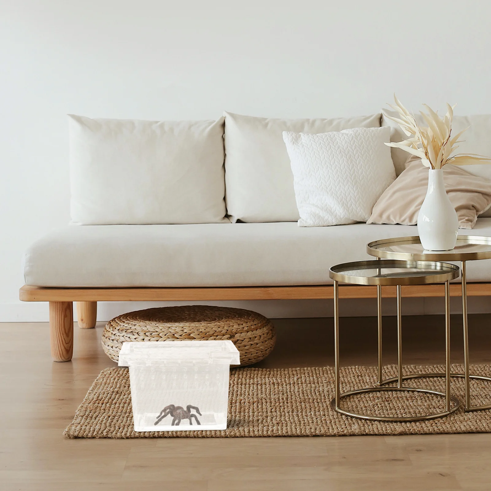 

Transparent Medium Insect Feeding Box Plastic Reptile Breeding Container for Pet Lizards Snakes Geckos Crickets Hermit Crabs