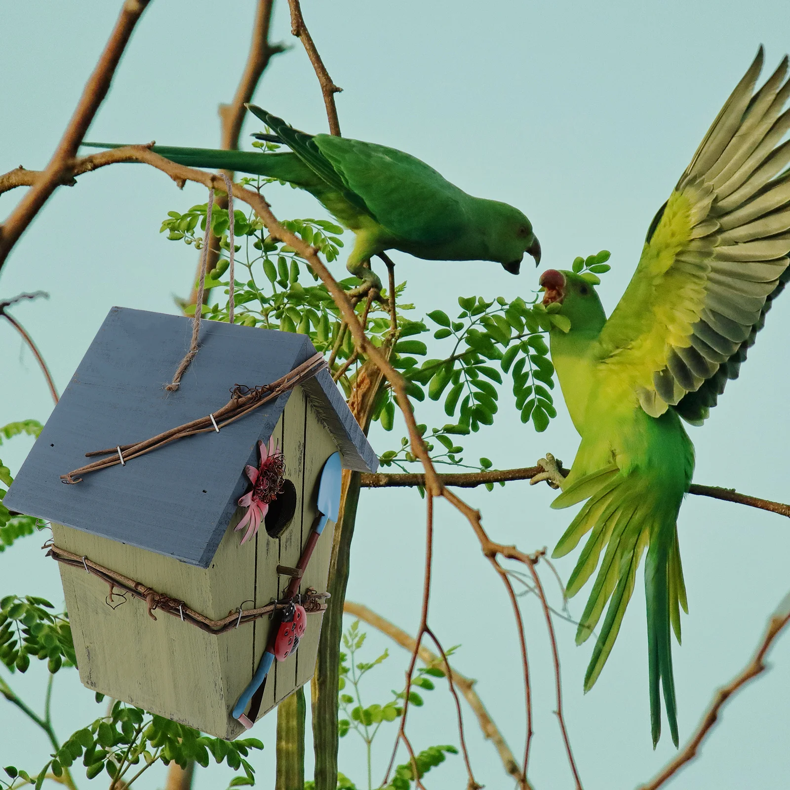 

Wooden Bird House With Blue Roof Hanging Garden Nest For Outdoor Decorative Birds Shelter Balcony Bird Nest Rural Style