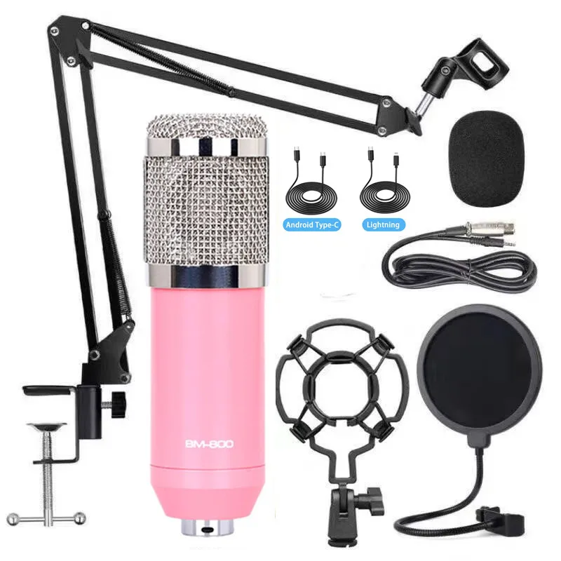 Hot Condenser Microphone BM 800 Wireless DJ18 Sound Card for