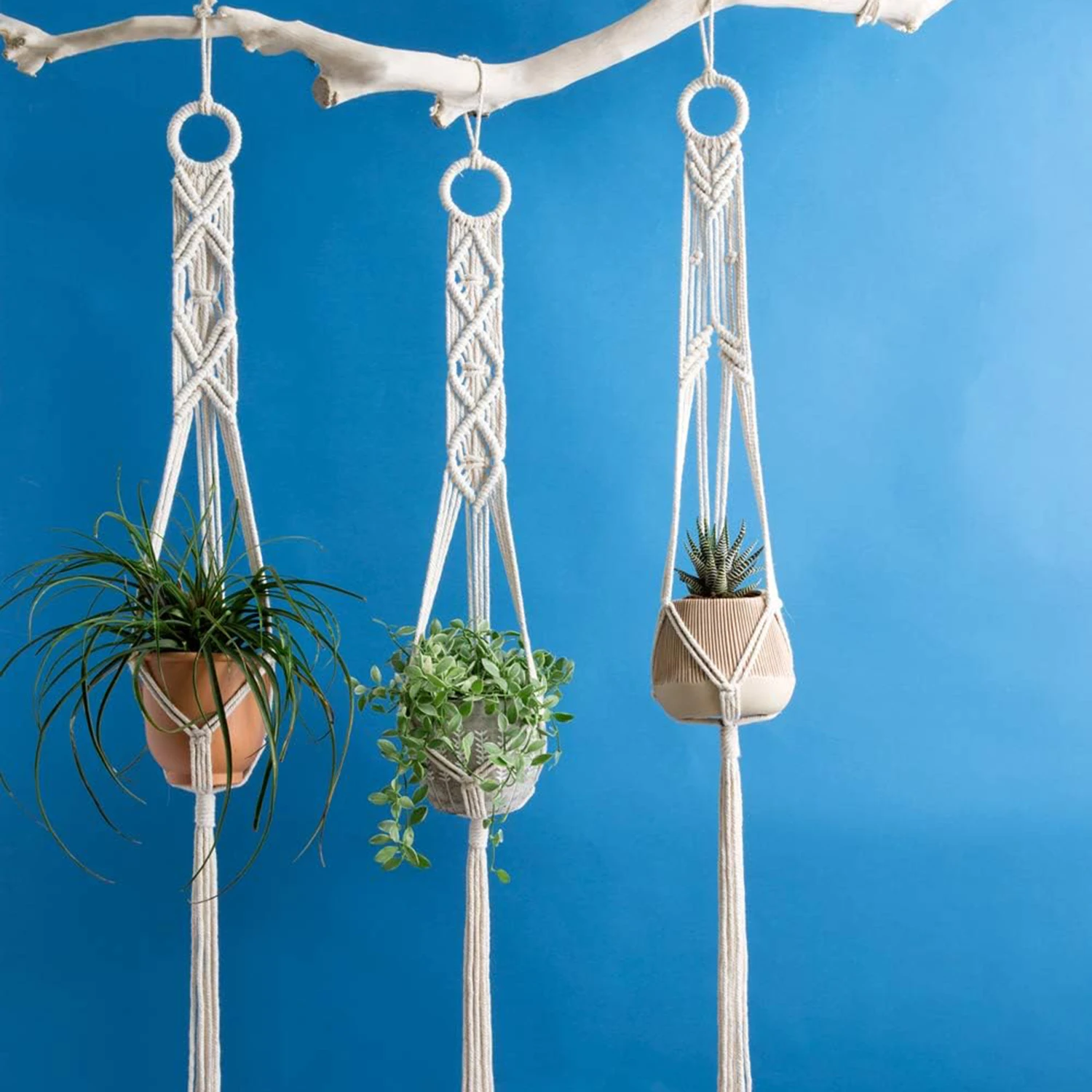 3pcs Boho Macrame Plant Hangers, Indoor & Outdoor Wall Hanging Planter Basket Holders, Flower Pot Rope for Home Decor