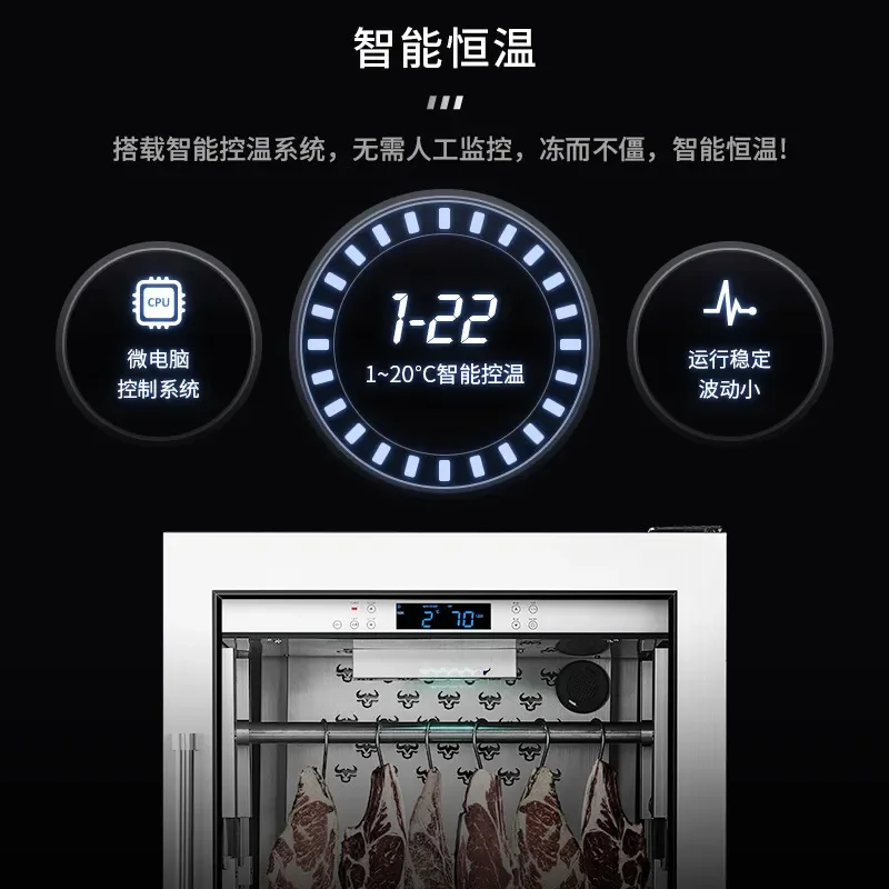 Smart Constant Temperature Dry Aged Steak Cabinet Stainless Steel Refrigerator Beef Acid Removal Fresh Keeping Fridge