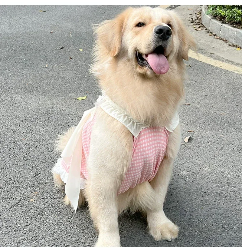 Summer Pet Clothes Dog Dress Yorkie Poodle Schnauzer Corgi Border Collie Samoyed Husky Labrador Golden Retriever Clothing Skirt