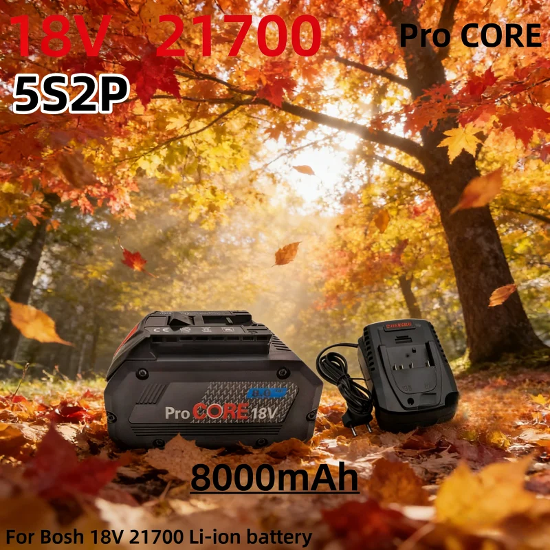 8000Mah 5S2P Procor…