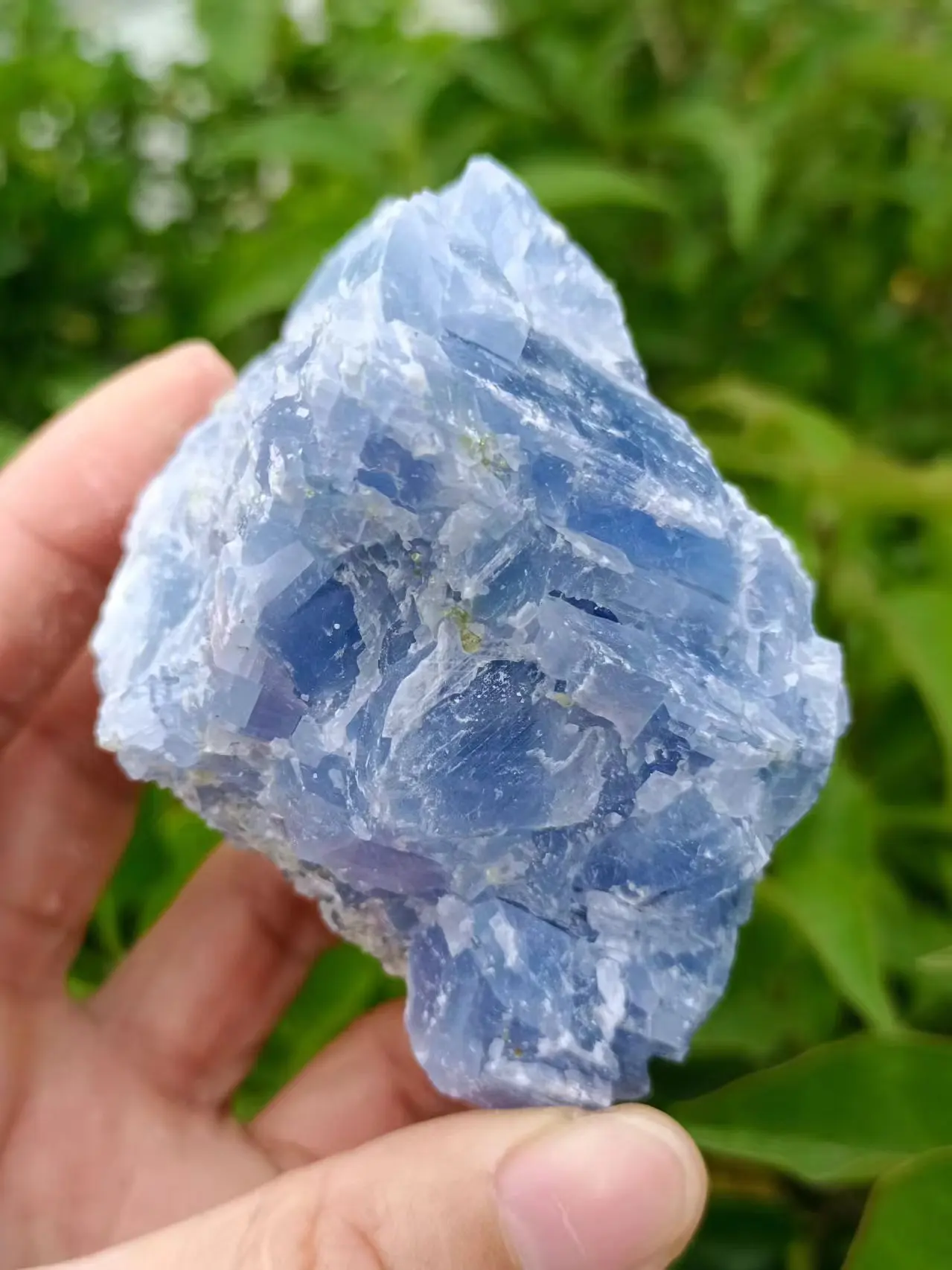 Natural Kyanite, Crystalline Quartzite Crystal Clusters, Energy Gems, Reiki Healing, Decorative Gifts, Meditation Divination, Aq