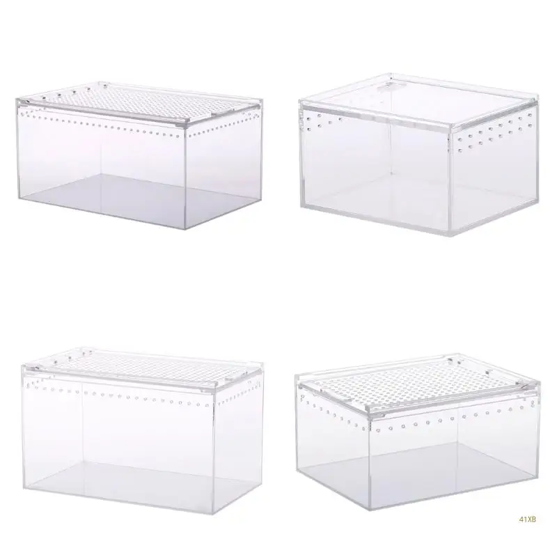 41XB Insect Spiders Tortoises Lizards Acrylic Clear Designs Breeding Box