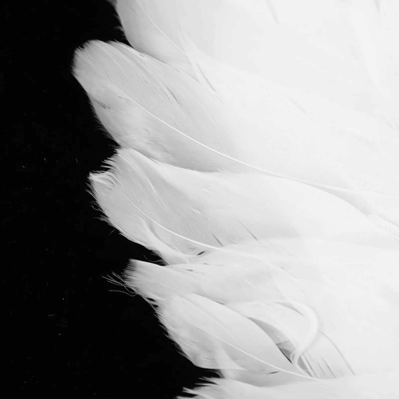 

1 комплект, детский костюм феи с крыльями ангела, реквизит, милая повязка на голову, палочка, товары для косплея, вечерние принадлежности, повязка на голову с крыльями феи для косплея