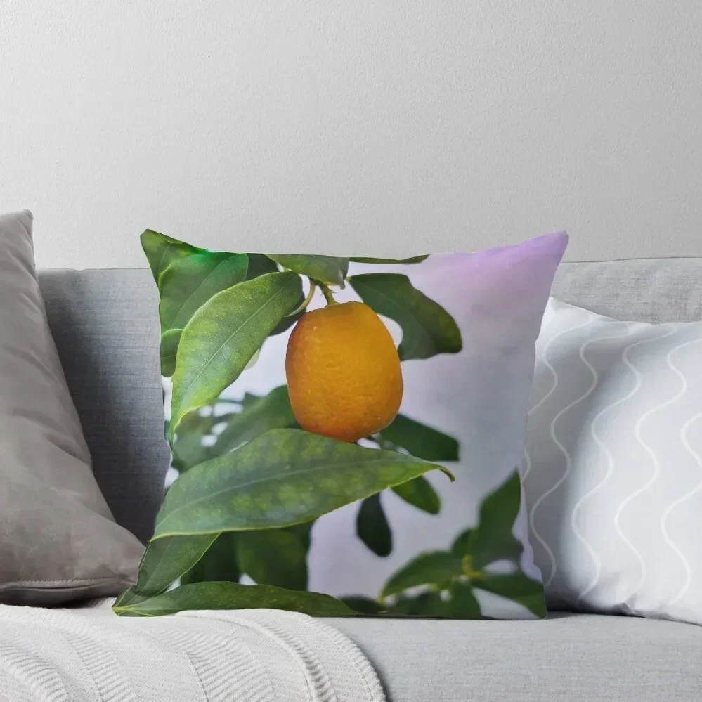 

Kumquat - Kind of citrus plant Throw Pillow pillow cover luxury Christmas Covers Christmas Pillow Cases
