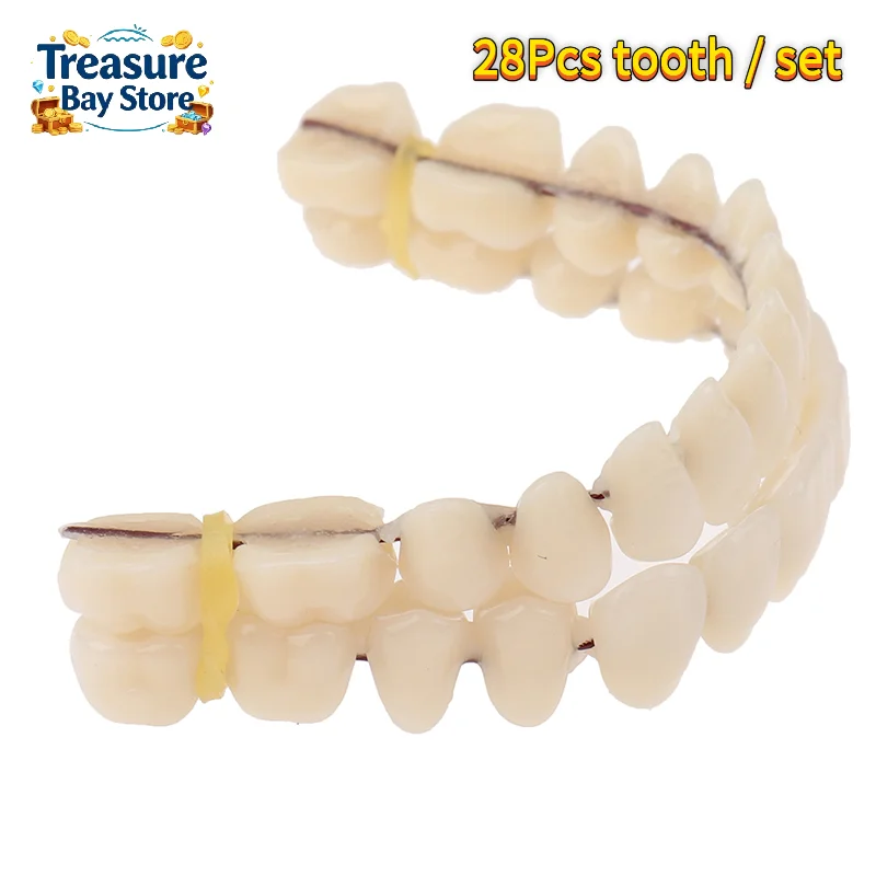 28Pcs/Set Resin Artificial Denture Teeth Upper Lower Jaw A2 Shade Contoured False Teeth Dental DIY Denture Tool