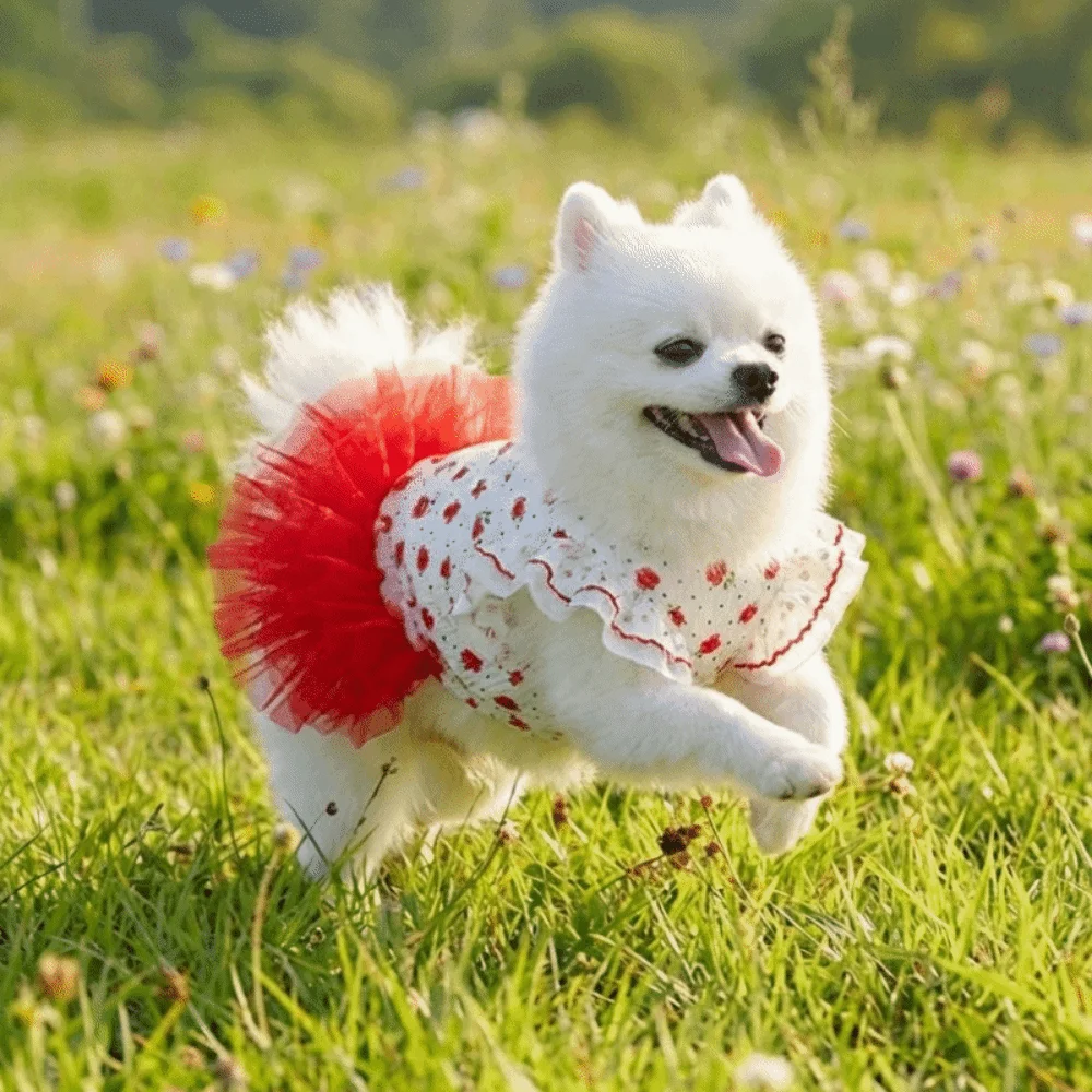 Imagen 6: Falda Tutú con Estampado de Rosas para Gatos, Vestido de Princesa para Mascotas, Delgado, Transpirable y Suave, con Mangas con Volantes, Ropa de Verano para Mascotas