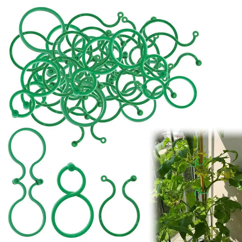 50/100 Stück Pflanzenstützklammern, wiederverwendbare 8-förmige Clips für Kletterpflanzen, Tomaten, Trauben, Wassermelonen, Wandhalter, Gartengeräte
