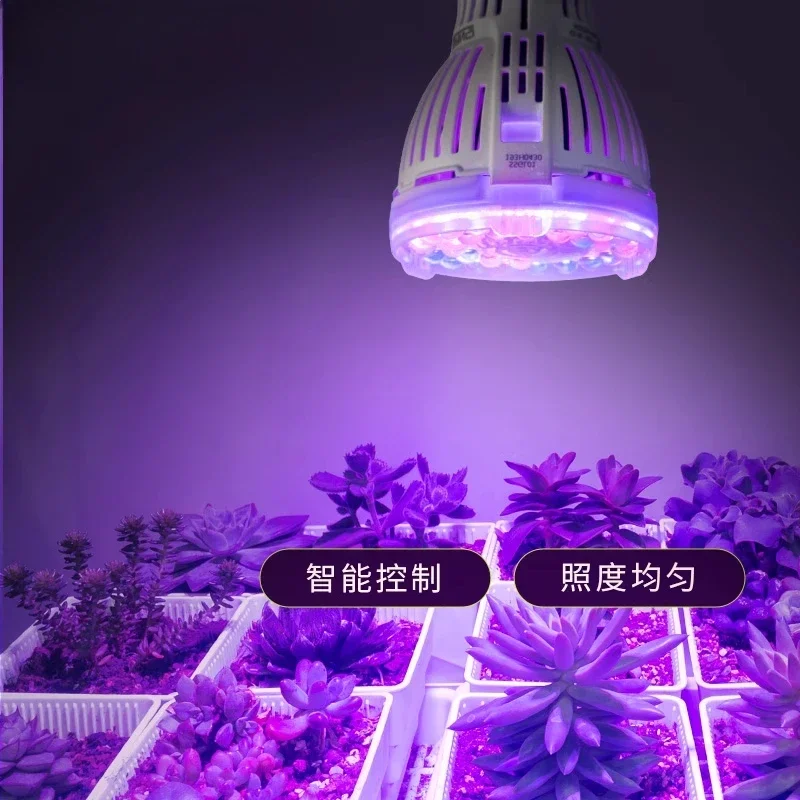 Sansi intelligent switch succulent filling light LED red and blue coloring light, purple plant growth household plant light