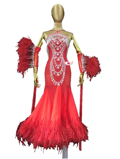 WHYNOT DANCE Customized Ballroom Waltz Dance Competition Feather Dress Tube Bead  for Girls or Women Fast Free Shipping