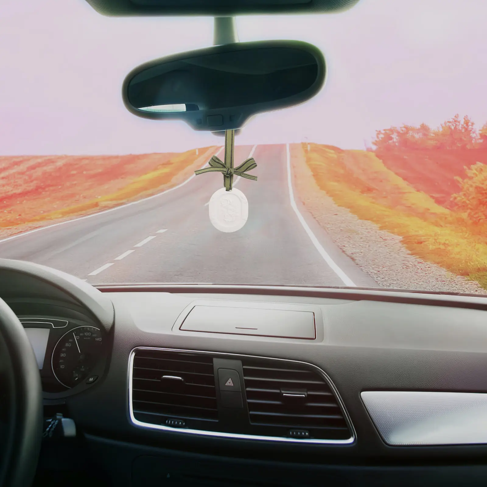 10Pcs Car Essential Oil Diffuser Plaster Clay Discs Hanging Ribbon Passive Aroma Diffuser Auto Wardrobe Air Freshener view 4