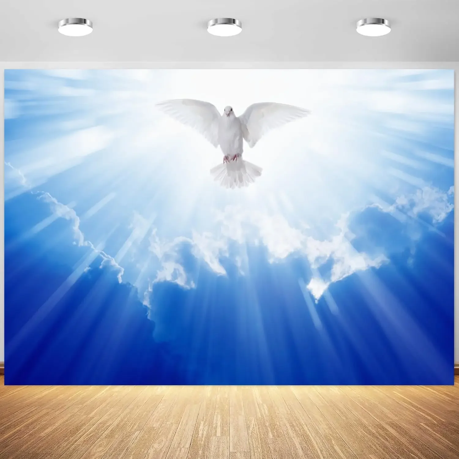 

Peace Dove Holy Spirit Bird Jesus Christ Bright Heaven Light Church Event Christian photo background photography backdrop