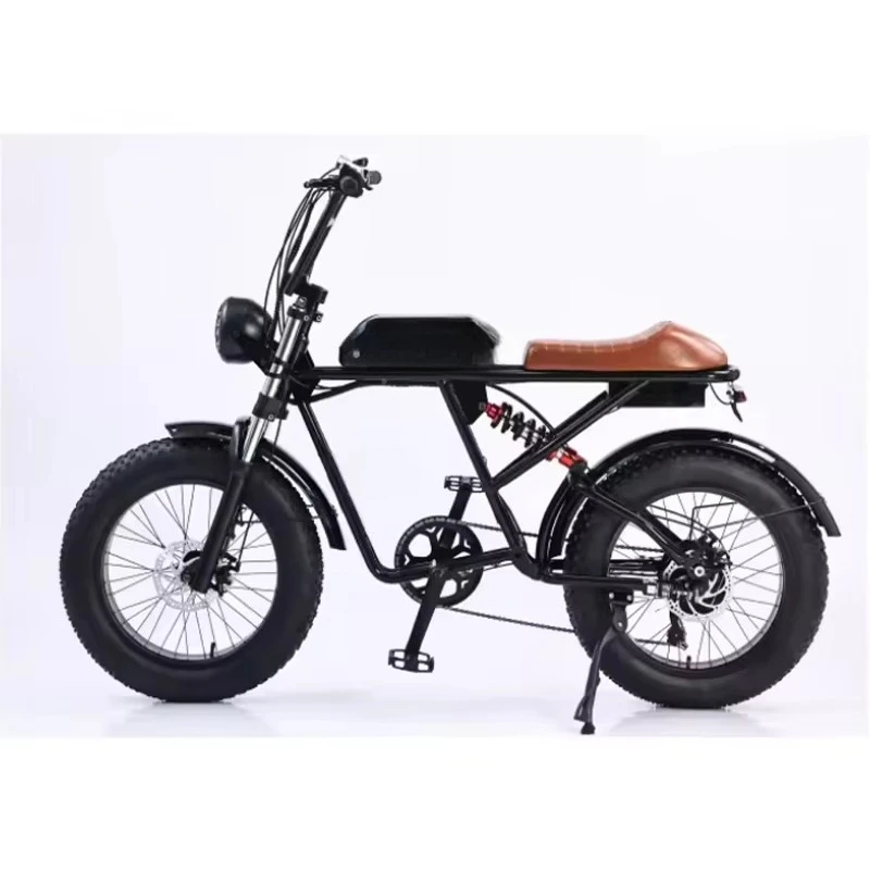 

73RX 20 inch bike 7 speed electric mountain bike 48v 15Ah 1000w electric adult road