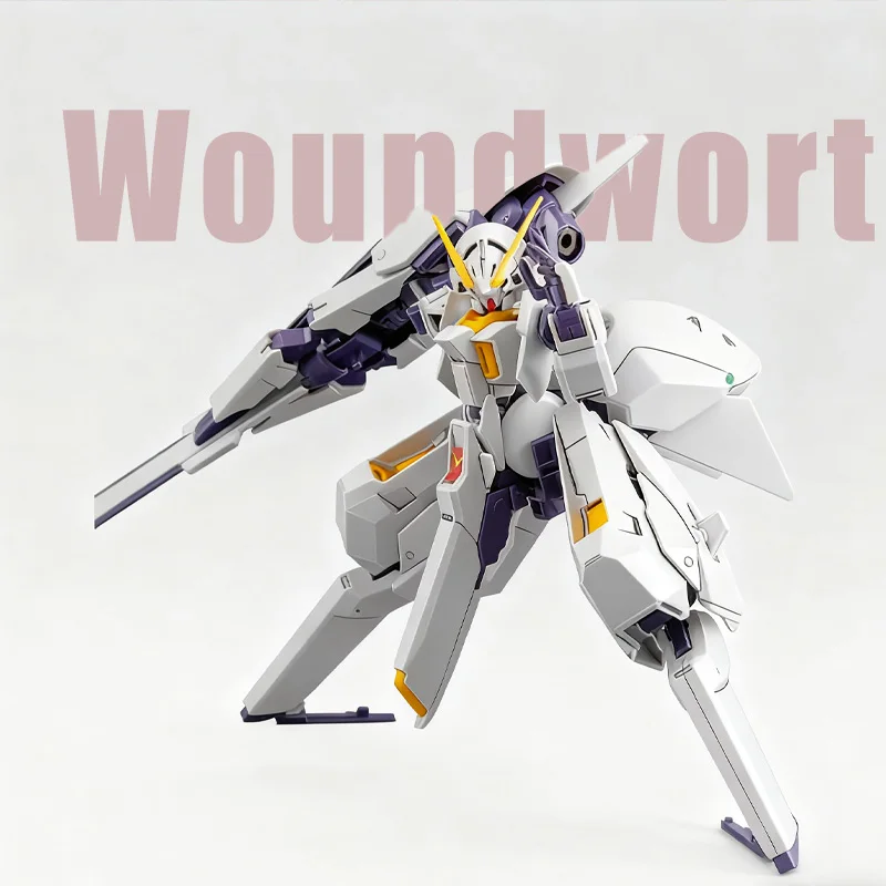 Hg 1/144 TR-6 Wound…