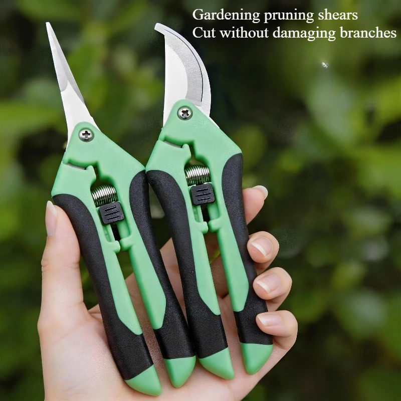 Strong fruit-picking and pruning shears Special picking shears for rare fruit flowers and grapes in gardens