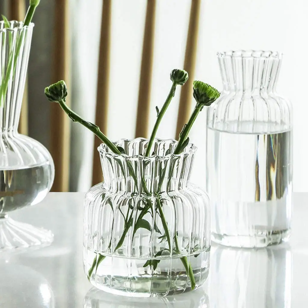Nordic Transparent Glass Vase – Hydroponic Terrarium Flower Bottle (1/2/3pcs) 3