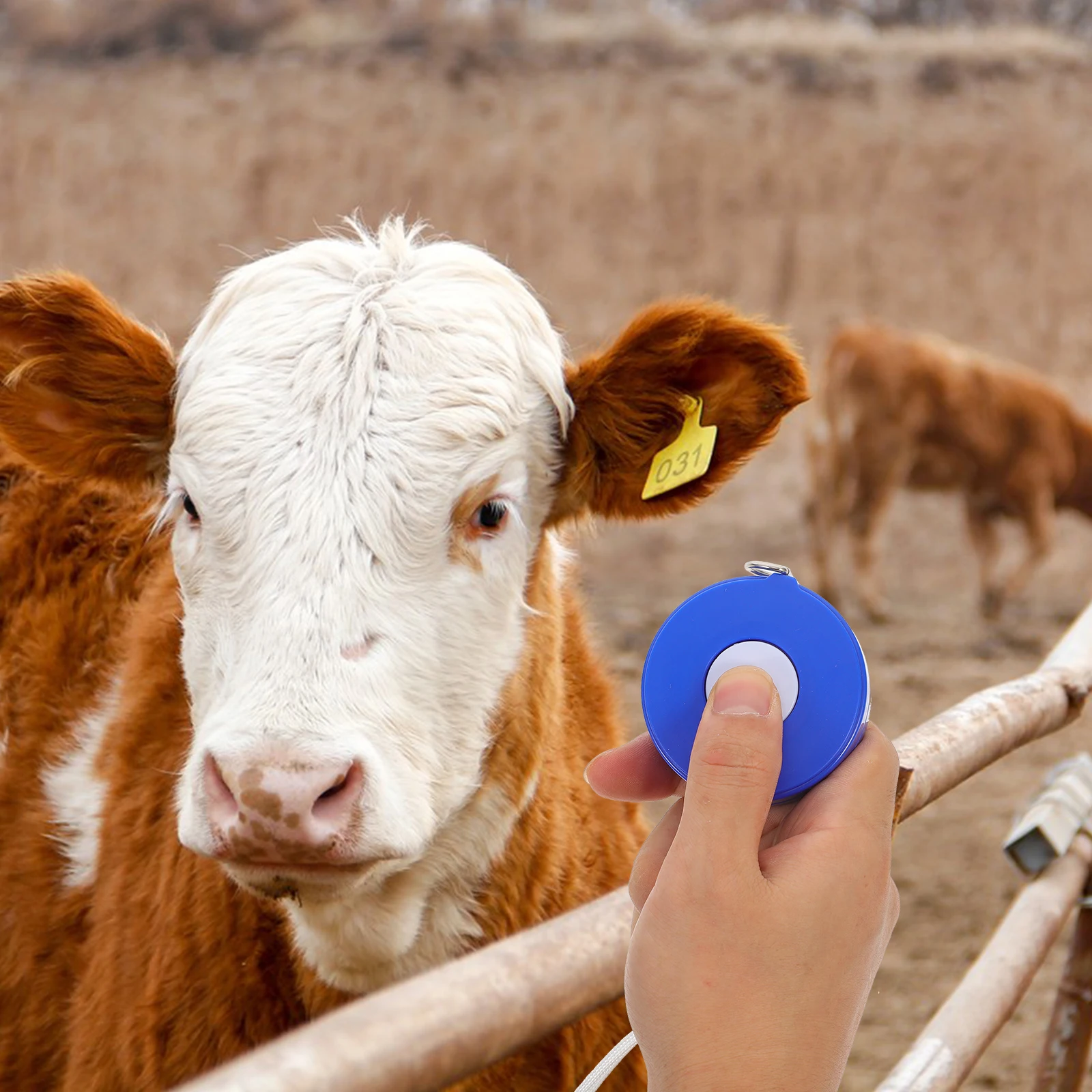 

Livestock Tape Measure 250cmx14 5mm Animal Weight Measuring Tool for Horse Goat Cattle Pig Fitness Body Weighing