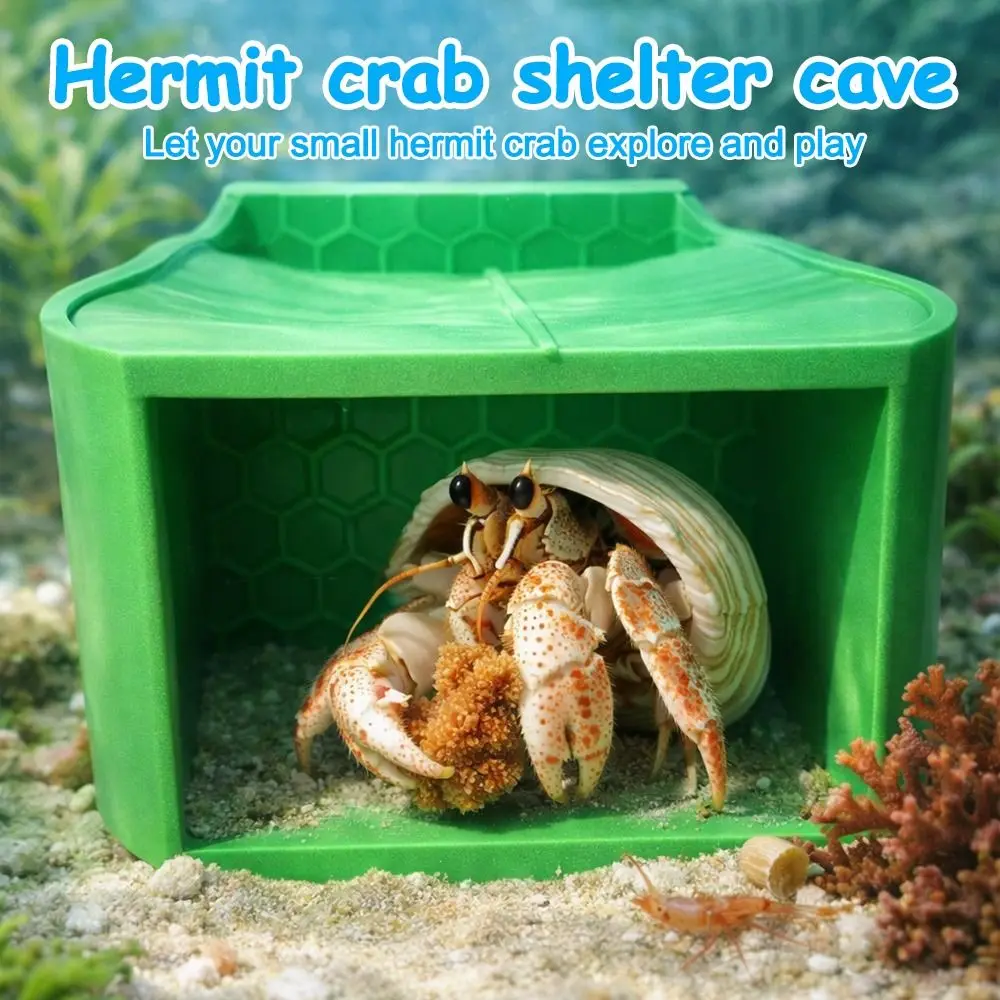 Abri tunnel pour hermit crab avec double gamelle, rampe texturée, double bol alimentaire, maison pour hermit crab, rampe d'accès et fenêtre d'observation