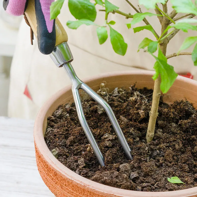 Balcony Flower Cultivation, Potted Plant, Soil Loosening Tool, Stainless Steel Two Toothed Fork, Planting