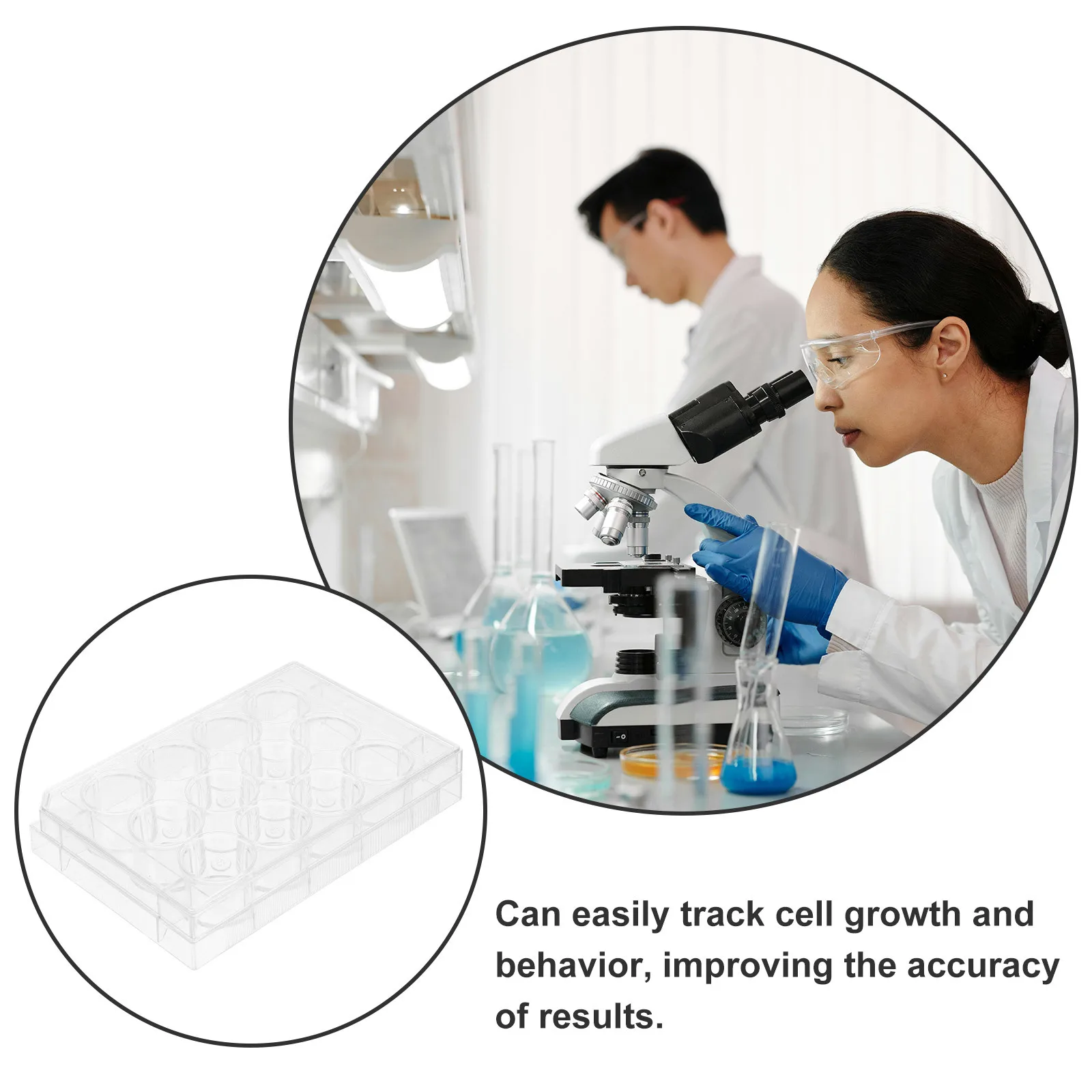

12 Well Cell Culture Plate Transparent Laboratory Tissue Culture Tray Plastic Petri Dish for Research Lab Equipment