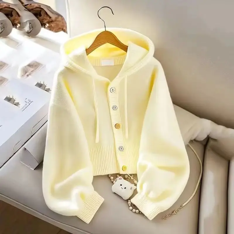 Autumn Winter Solid Knitted Cardigan Sweater Jacket Women New Korean Loose Ladies Single Breasted Hooded Sweater Coat Female Top