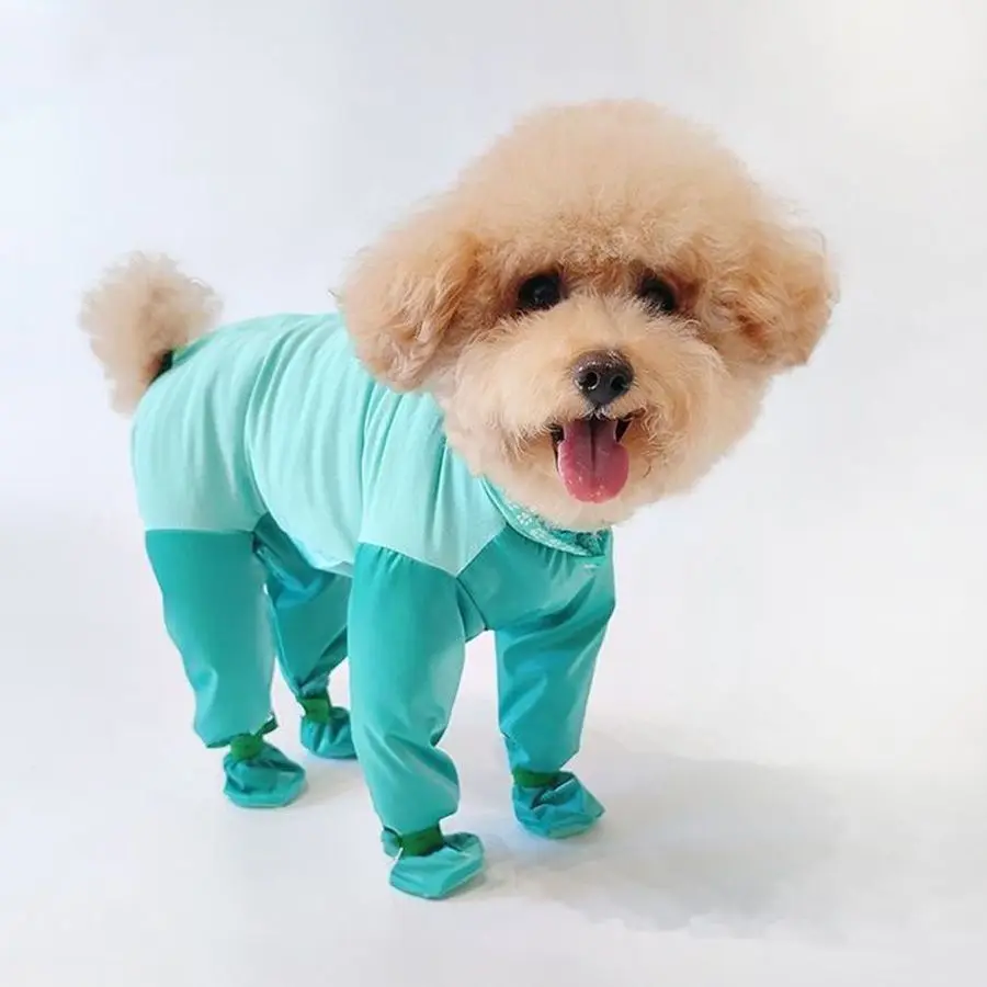 Ropa antimosquitos y antipolvo para perros, ideal paseos al aire libre - imagen 5