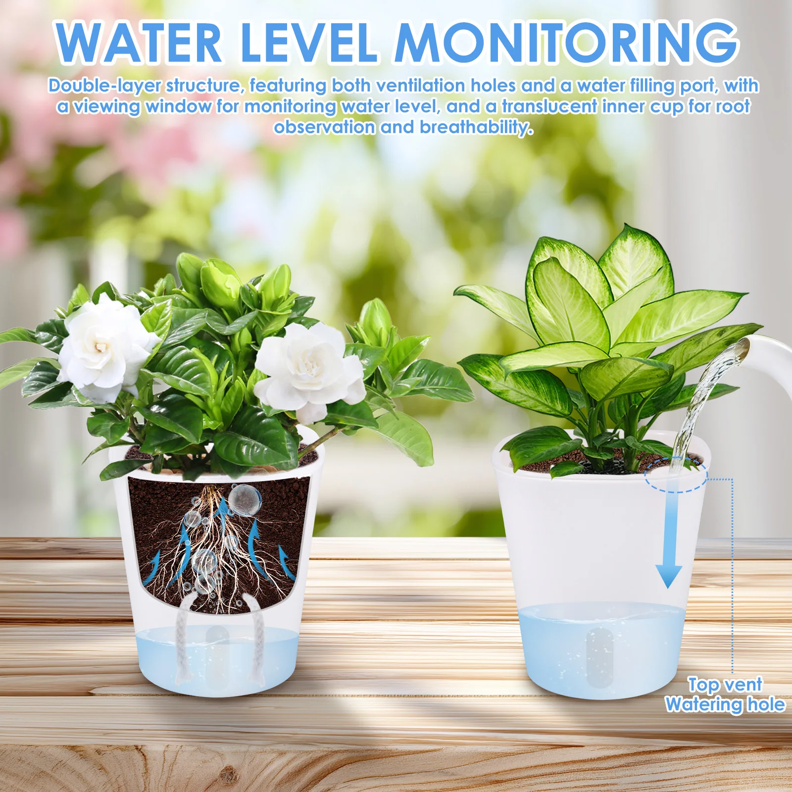 กระถางต้นไม้พลาสติกแบบรดน้ำเอง - Aloe Vera Pot บทวิจารณ์และราคา