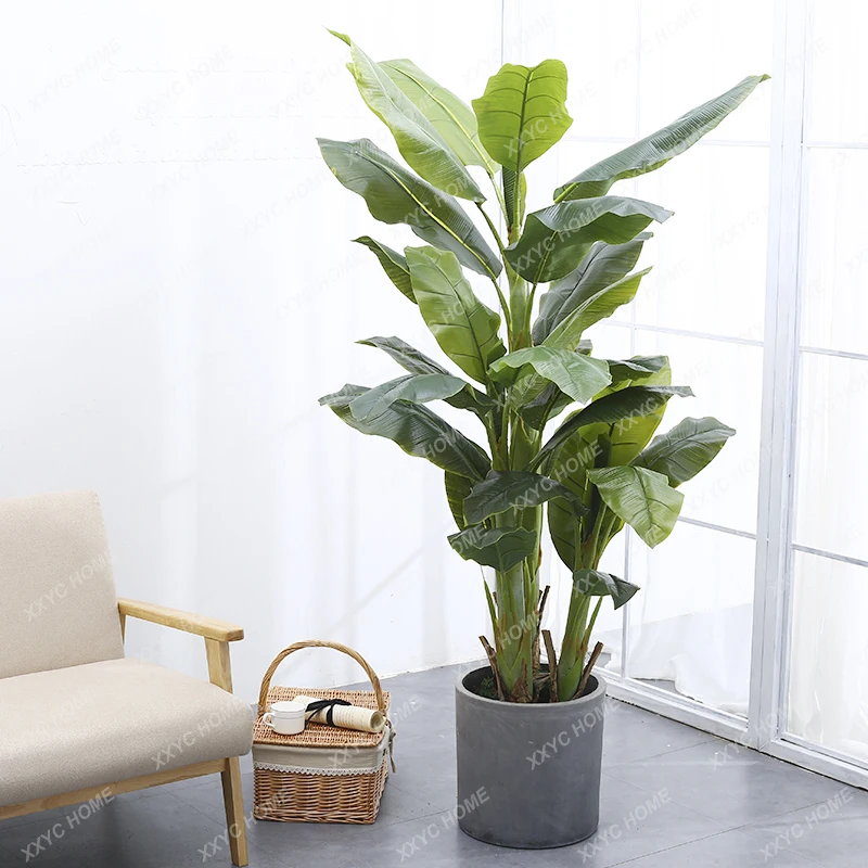 Indoor Living Room Decoration Banana Tree Bonsai Medium and Large Home on-the-Ground Green Plant Nordic Style Ornaments