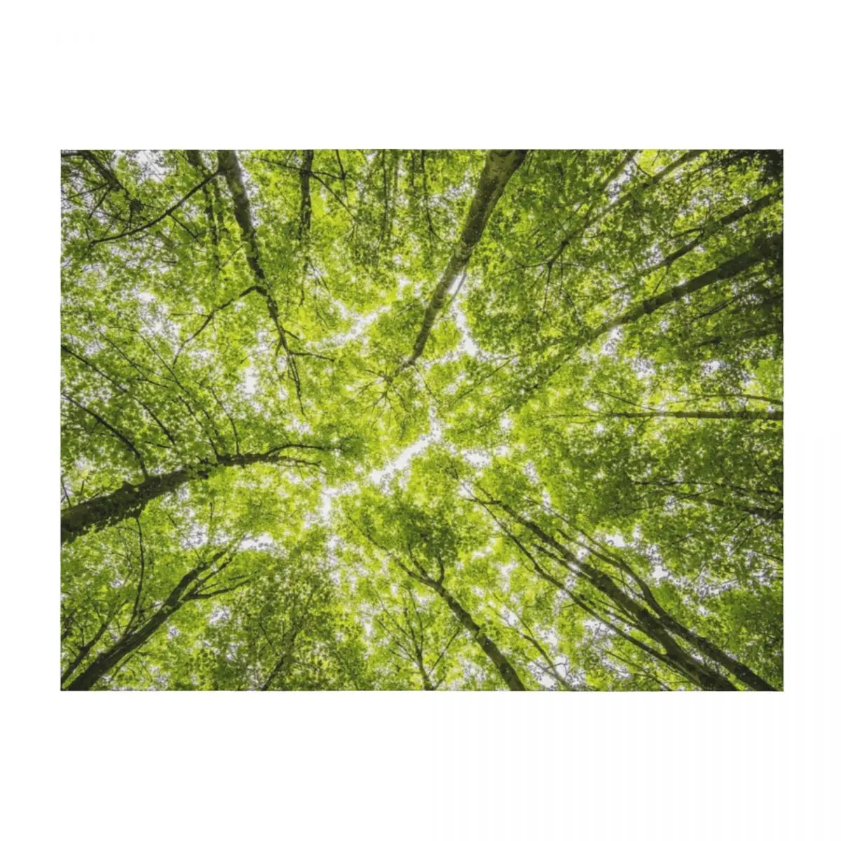 

Одеяло CANOPY VIEW Retros Детские декоративные одеяла