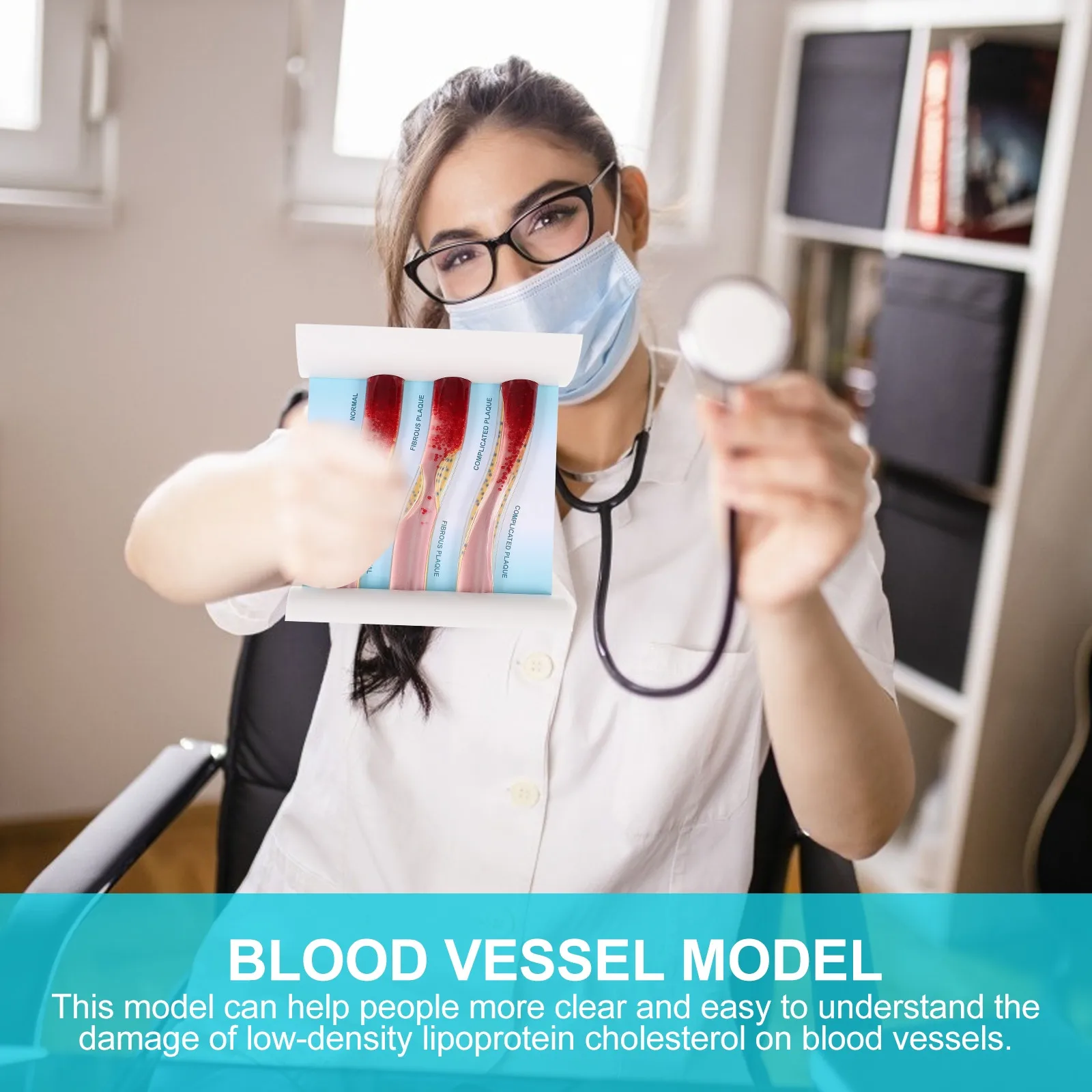 

Human Blood Vessel Anatomical Display Cholesterol Damage Teaching Dynamic Plastic Vascular Educational Tool
