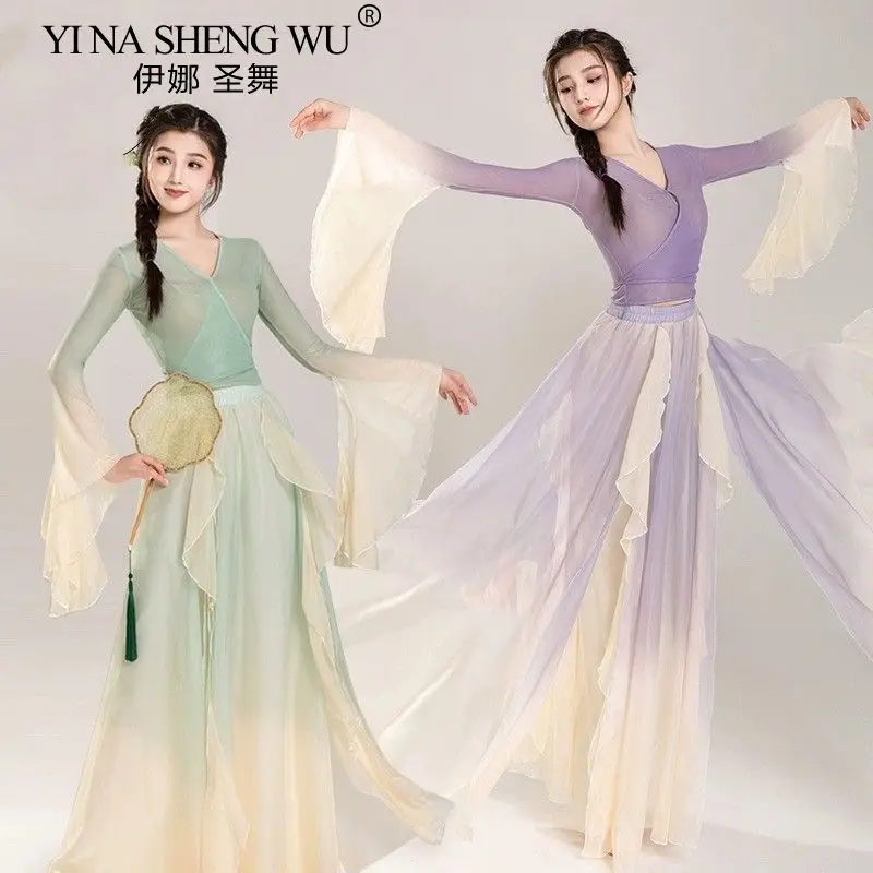 Classical Dance Costume Gradual Suit Fairy Practice Dress Loose Flowing Gauze Chinese Dance Performance Stag Dancewear