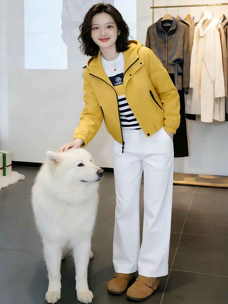 

Faionable Casual ort Jaet Women's Spring 2026 New Design ular Hooded Top Small Sle Ladies' Premium Clothing